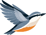 Nuthatch